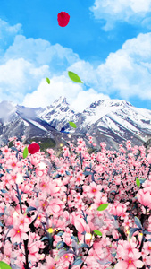 唯美的樱花背景素材春暖花开视频