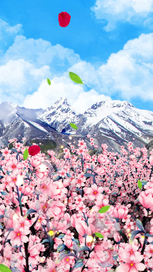 唯美的樱花背景素材春暖花开30秒视频