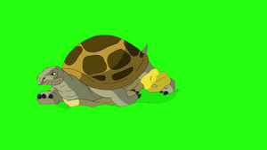 大沼泽海龟沉积在沙色谱键上6秒视频