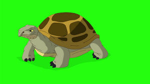 大沼泽海龟采取几步卡通海龟游动绿屏6秒视频