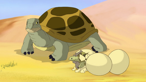 小海龟宝宝从沙漠的蛋里孵出8秒视频