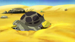 大绿海龟埋在沙土中爬出爬出来12秒视频