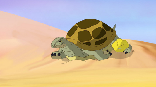 大沼泽海龟埋在沙中爬出来视频