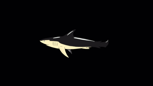黑色鲨鱼游泳环游阿尔法马特视频