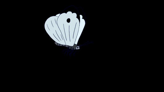 白蝴蝶苍蝇阿尔法环状视频