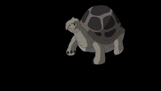 大灰象海龟甲型大灰象视频