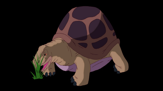 大棕大象海龟食草的海龟视频