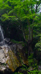 5A风景区明月山石壁流泉江西旅游视频