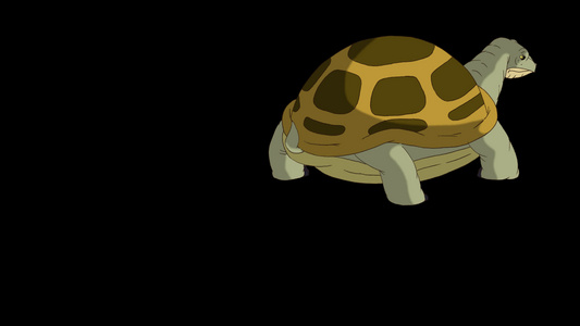 大沼泽海龟从沙或水中爬出来视频