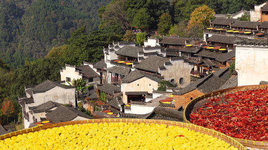 中国最美乡村江西婺源篁岭景区秋天晒秋现场4k旅游素材视频