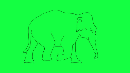 动画动画手在绿色屏幕上缓慢走动大象视频
