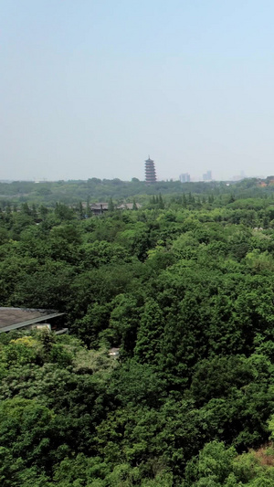 航拍4A级景区扬州宋夹城风景扬州旅游43秒视频