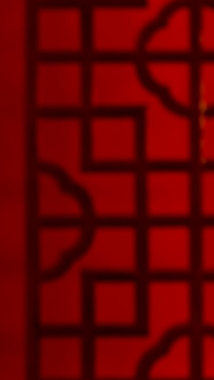 福字红色背景前蜡梅上悬挂红包从暗到明背景实拍视频传统节日10秒视频