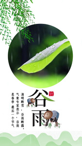 谷雨二十四节气竖版小视频视频