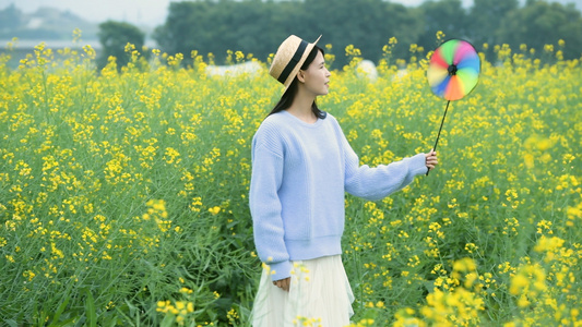 4K油菜花海里的少女视频