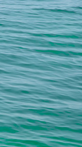 海水波纹水波粼粼视频