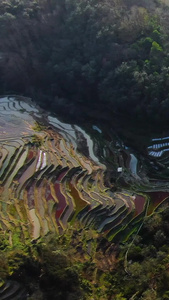 航拍壮观的元阳梯田坝达景区梯田全景视频云南旅游视频