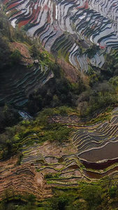 航拍壮观的元阳梯田坝达景区梯田全景视频观光旅游视频