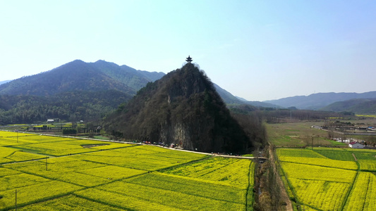 泾县狮子山油菜花中国宣纸博物馆视频