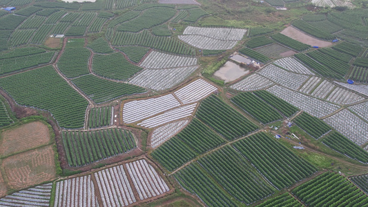 农田种植航拍视频