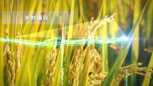 4K科技现代农业模板24秒视频