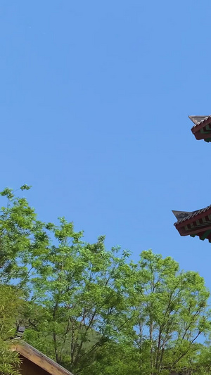 河北邯郸5A景区娲皇宫视频合集旅游景区71秒视频