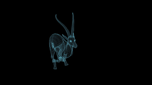 在黑背景上快速运行的瞪羚速度动画线框架视频
