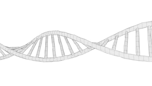 人类三维电线框架科学医学研究视频