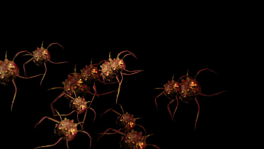 动画流感细胞插图视频