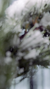 雪中松树林圣诞装饰球节日圣诞节视频