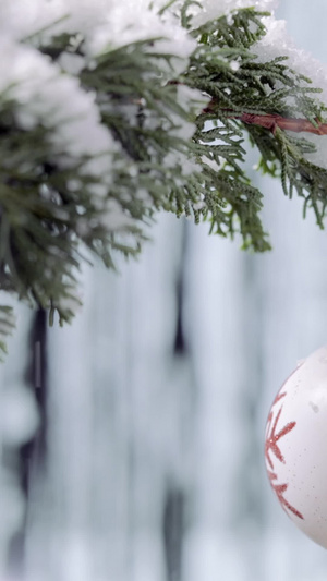 雪中松树林圣诞装饰球节日圣诞节13秒视频