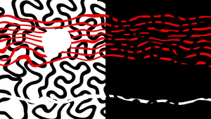 第2条白色和黑色背景的两种动画液体形状电动液体形状12秒视频