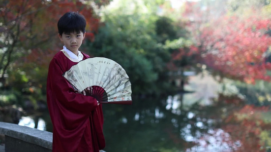 穿汉服的男孩 杭州西湖花港观鱼视频