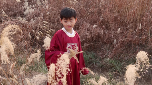 穿汉服的男孩拿着芦苇视频