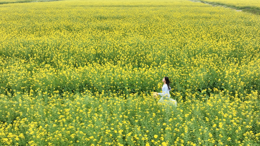 4K升格有花海里奔跑的少女视频