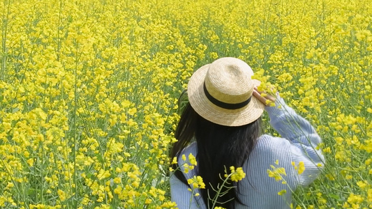 1080升格油菜花海里的少女视频