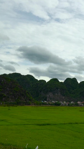 越南小桂林延时旅游景点视频