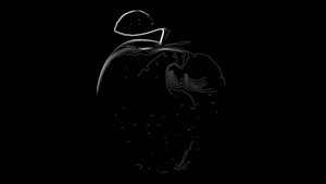 黑色背景上的苹果的地形轮廓动画11秒视频