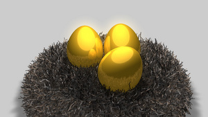 金蛋和巢概念价值动物胎儿黄金9秒视频