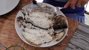 女性用手切鱼盘上美味的鱼22秒视频