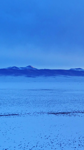 清晨雪山雪景航拍新疆旅游视频