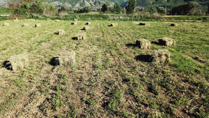 野外草地12秒视频