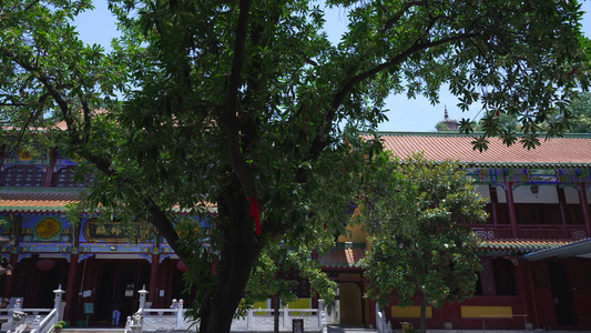 武汉洪山区宝通禅寺皇家寺院视频