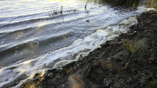 河流中的泡沫污染视频