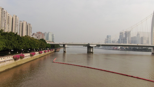 广州猎德大桥航拍视频视频