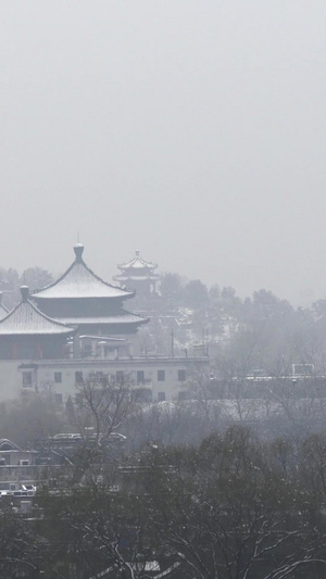 2020年北京第一场雪万春亭31秒视频