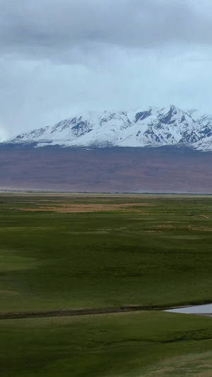 5A帕米尔旅游景区塔合曼湿地蜿蜒的河流航拍视频自驾旅游53秒视频