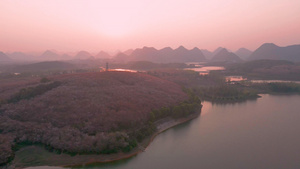 4K航拍日落时分贵州网红打卡地樱花谷视频素材39秒视频