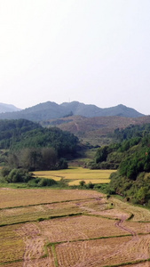 航拍湖南湘西山区农田视频