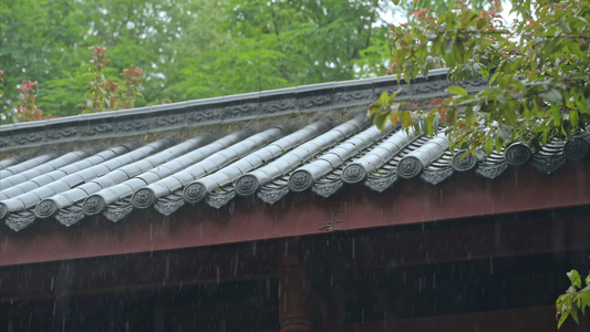 重庆雨季下雨屋檐实拍视频